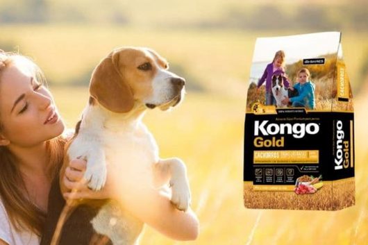 Kongo y Kongo Gold son una excelente alternativa para tus mascotas